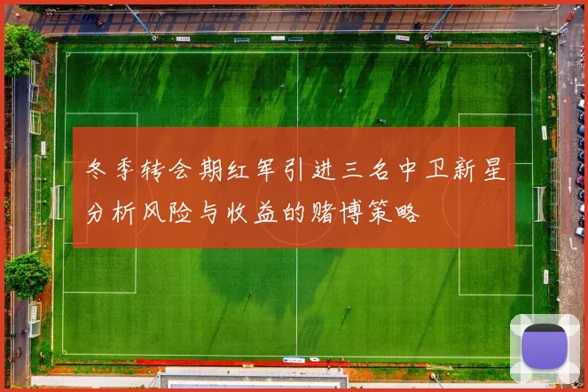 冬季转会期红军引进三名中卫新星分析风险与收益的赌博策略